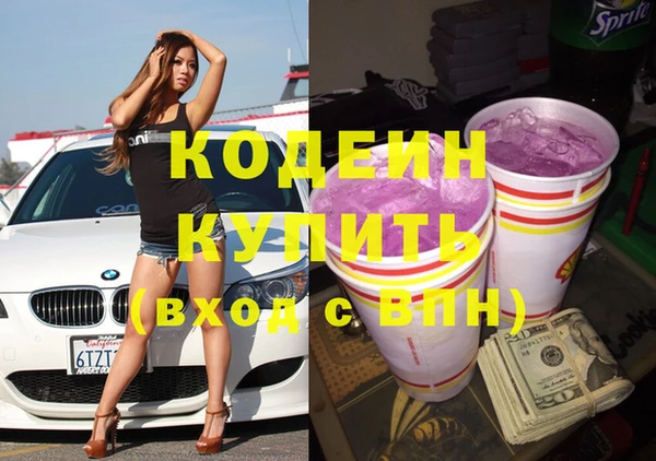 спиды Пересвет